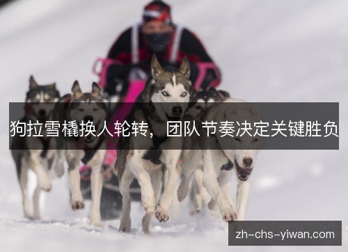 狗拉雪橇换人轮转，团队节奏决定关键胜负